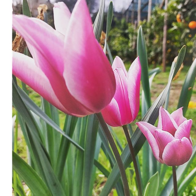 Instagram photo #9